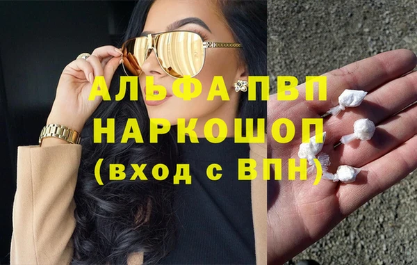 гидра Беслан