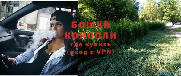 трава Бикин