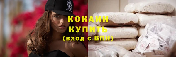 гидра Беслан