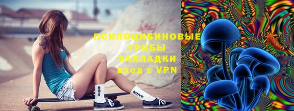 гидра Беслан